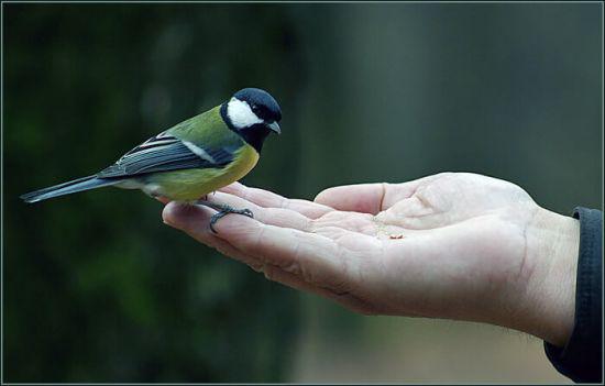 春天的公益行动：献爱心于河西走廊
